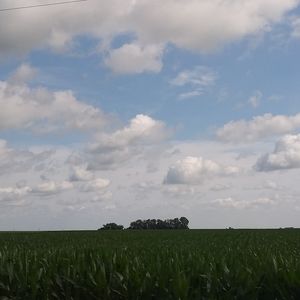 Meet your Posher, Mandy